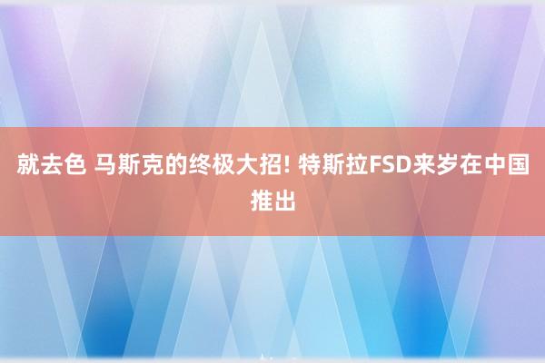 就去色 马斯克的终极大招! 特斯拉FSD来岁在中国推出
