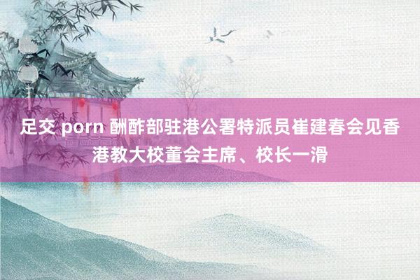 足交 porn 酬酢部驻港公署特派员崔建春会见香港教大校董会主席、校长一滑