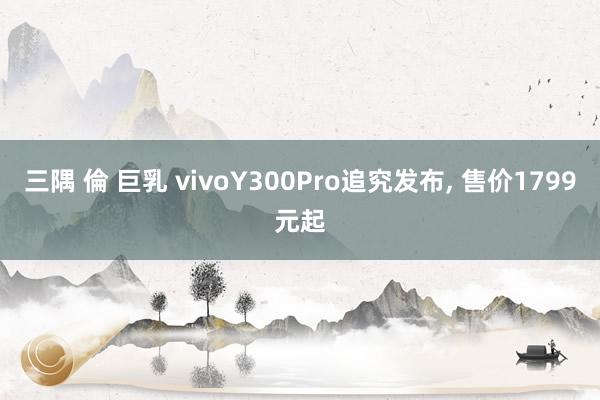 三隅 倫 巨乳 vivoY300Pro追究发布， 售价1799元起