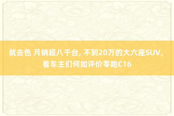 就去色 月销超八千台， 不到20万的大六座SUV， 看车主们何如评价零跑C16